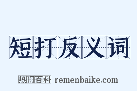 短打反义词是什么意思的图片